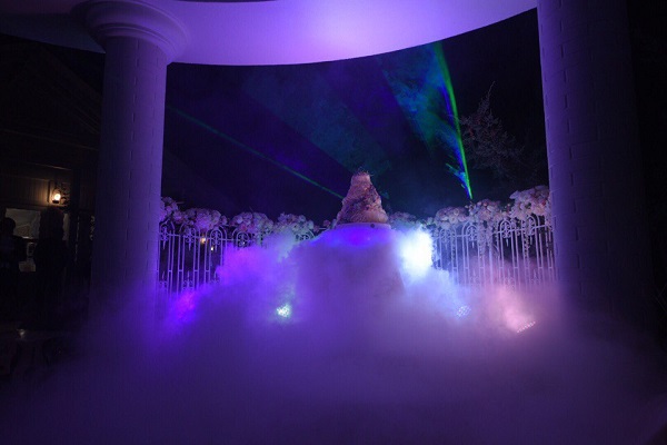 Презентация торта - фото 2